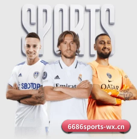 6686体育 APP(6686SPORTS)